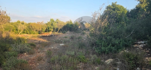 quiet setting/ peaceful atmosphere/Road access /large size/BTERROMINE, KOURA/REF#YT140425