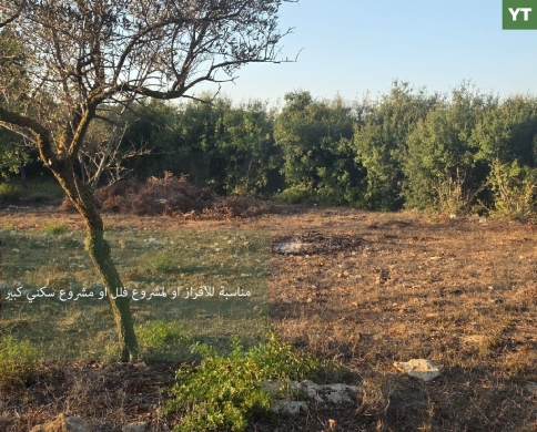 quiet setting/ peaceful atmosphere/Road access /large size/BTERROMINE, KOURA/REF#YT140425
