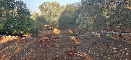 PREMIUM LAND/BATROUMINE, KOURA/بترومين/ Direct road access/ REF#YT140424 ! — 6