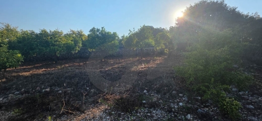 rare opportunity/prime plot/road access/Excellent location/ BTERROMINE, KOURA/بترومين /REF#YT140423