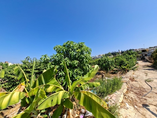 A 1,000 SQM Land For Rent in Aamchit