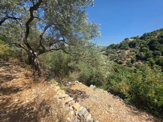 1,500 SQM With Mountain View Land For Sale in Batroun, Chabtine