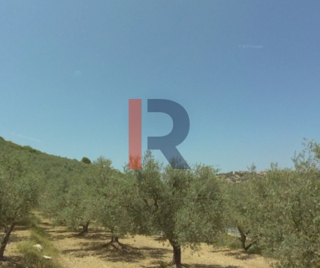 R9-3921 Land for Sale in Mejdel – Koura, 700 m², Zoning 5% — 2