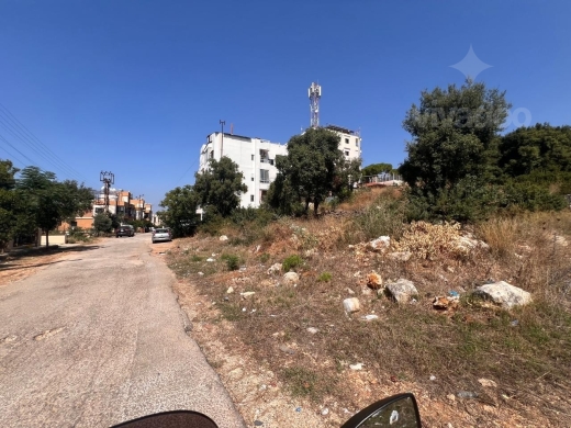 أرض للبيع في الكورة مزار النخلة رأس مسقا | Land for Sale Koura Ras Maska