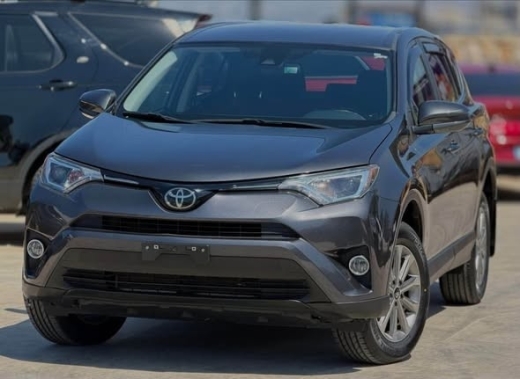 2018 Toyota RAV4 LE AWD with 84k miles