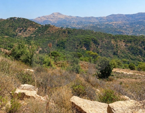 spacious/mountains and nature views/calm area/accessible/RAS EL MATEN,METN/رأس المتن/REF#HR140562