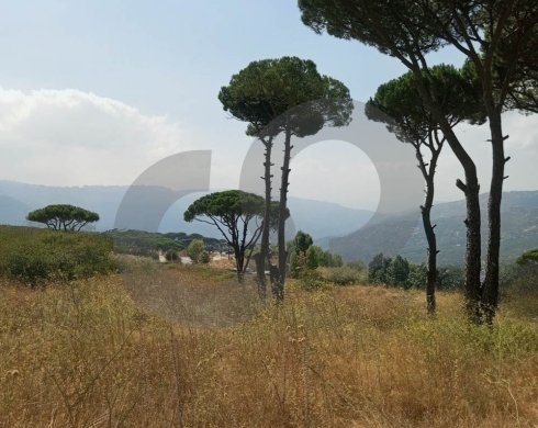 prime opportunity/highly desirable location/flat plot/easy access/HAMMANA,BAABDA/حمانا/REF#HR140561