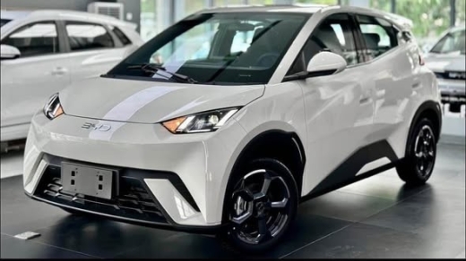 2025 BYD Seagull Flying Edition Fully Electric