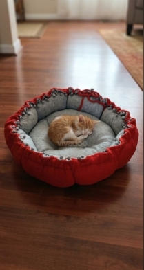 فرشة قطط يدوية الصنع مريحة ودافئة | Handmade Cozy Cat Bed