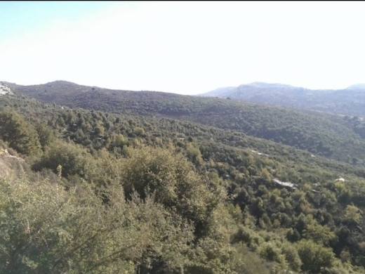 5,170 SQM Land For Sale in Assia, Batroun