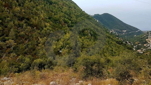 Exceptional Land Opportunity/two adjacent plots of land/Delbta, Keserwan/دلتا/REF#RS140669 — 3