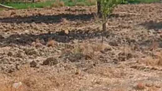Land for sale in Bezal