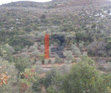 R9-3939 Land for Sale in Kfar Hay – Batroun, 2,026 m², Zoning 25/50, Olive Trees
