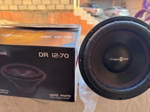Dragon Sound 600RMS Subwoofer