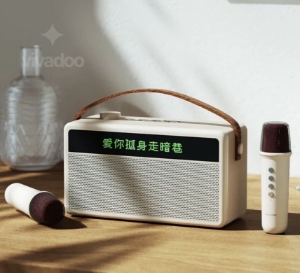 WOPOW AP09 Portable Karaoke Speaker 30W | WOPOW AP09 Portable Karaoke Speaker 30W — 2