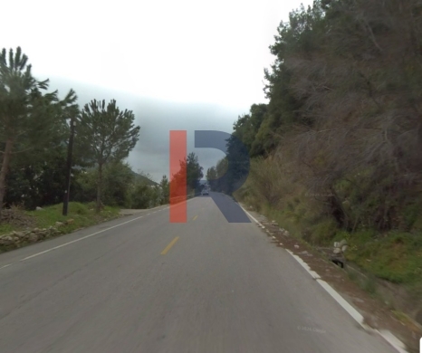 R9-3951 Agricultural Land for Sale in Ser3el – Zgharta, 7,000 m², Olive & Pine Trees, Zo… — 2