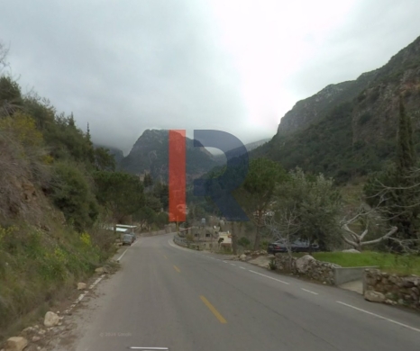 R9-3951 Agricultural Land for Sale in Ser3el – Zgharta, 7,000 m², Olive & Pine Trees, Zoning 2