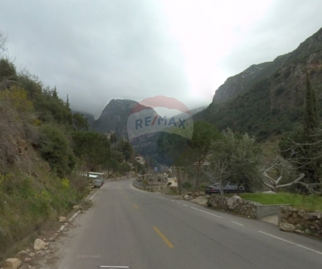 R9-3951 Agricultural Land for Sale in Ser3el – Zgharta, 7,000 m², Olive & Pine Trees, Zoning 2 أرض زراعية للبيع في سرعل – زغرتا، 7,000 م²، زيتون وصنوبر، تصنيف 2