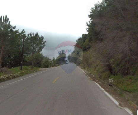 R9-3951 Agricultural Land for Sale in Ser3el – Zgharta, 7,000 m², Olive & Pine Trees, Zo… — 2