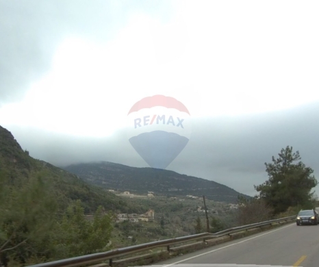 R9-3951 Agricultural Land for Sale in Ser3el – Zgharta, 7,000 m², Olive & Pine Trees, Zo… — 3