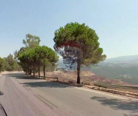 R9-3949 Agricultural Land for Sale in Bardeh – Akkar, 7,000 m² أرض زراعية للبيع في برده – عكار، 7,000 م²