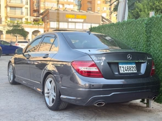 BMW 300 2013 — 2