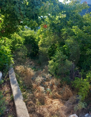 Charming Standalone Mountain Home with Open Views/30 minutes from the Ghazir… — 3