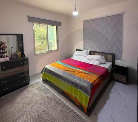 Fully Furnished Apartment/Investment Opportunity/Open… — 9