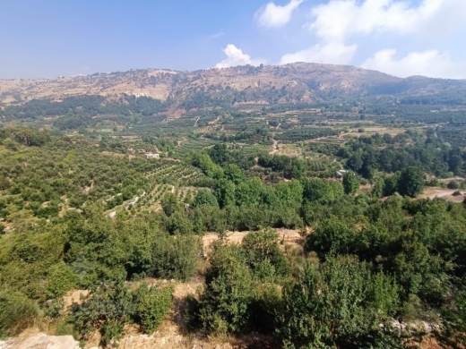 فرصة العمر في هواء كفردبيان الساحر | A Once-in-a-Lifetime Opportunity in Kfardebian — 9