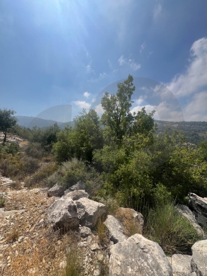Land for Sale/ Easy road access/Strategic location/Mountain… — 5