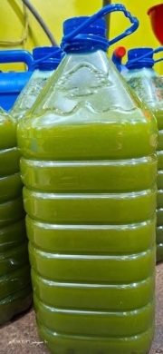 Olive Oil and Homemade Lebanese Products — 4
