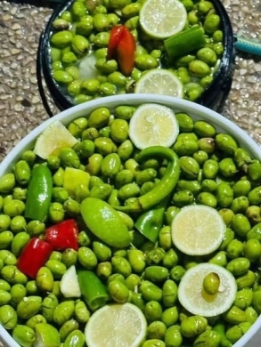 Olive Oil and Homemade Lebanese Products — 2
