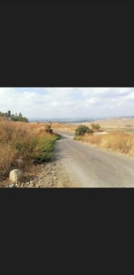Land for sale — 2