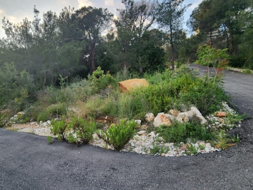 1,240 SQM Land With A Nice View For Sale In Monteverde — 3