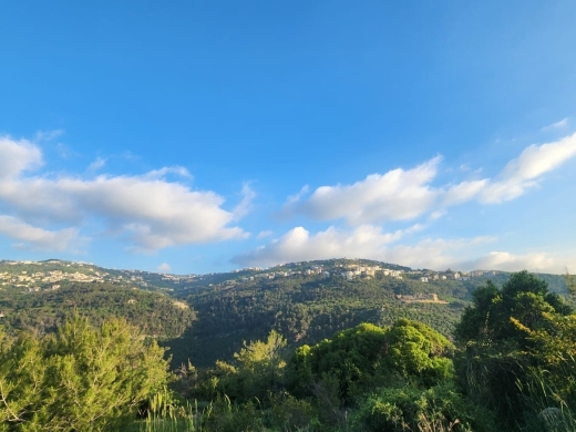 1,240 SQM Land With A Nice View For Sale In Monteverde