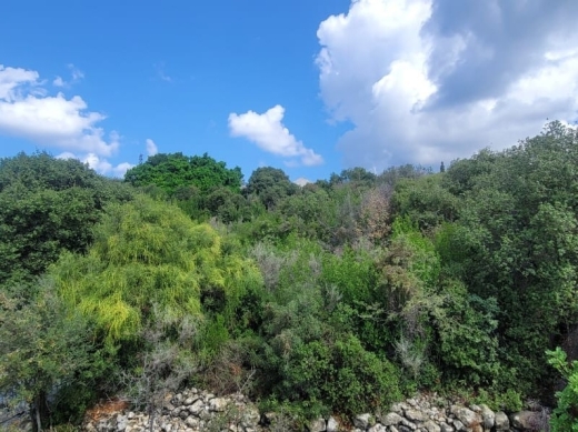 3,333 SQM Indusrtial Land For Sale in Amchit — 2