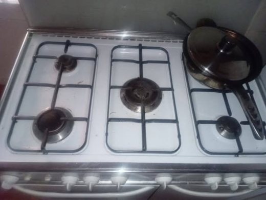 Refrigerator, gas stove, and two beds with mattresses