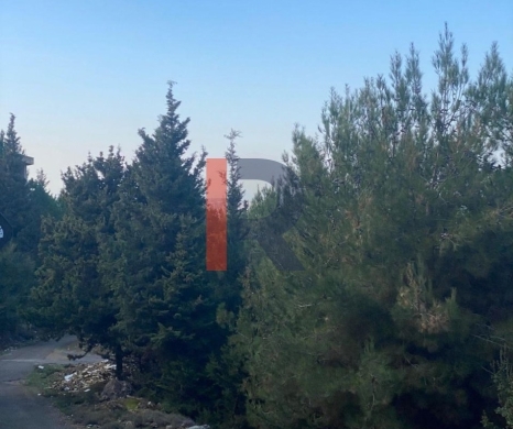 R9-3973 Land for Sale in Assoun Danniyeh | 999 m² | 25/50 — 2