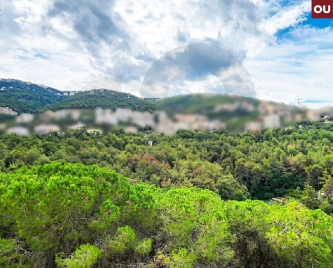 beautiful mountain view/quiet area/prime location/Ain Aalak ,metn/عين علق/REF#OU141279