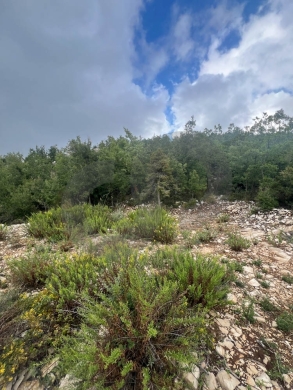 MOUNTAIN SANCTUARY/LAND/ hillside plot/panoramic views/MECHMECH,JBEIL/مشمش/REF#NI141254 — 6