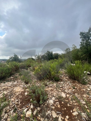 MOUNTAIN SANCTUARY/LAND/ hillside plot/panoramic views/MECHMECH,JBEIL/مشمش/REF#NI141254 — 8