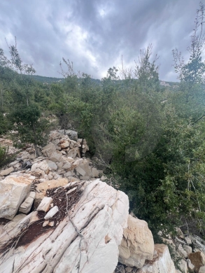 MOUNTAIN SANCTUARY/LAND/ hillside plot/panoramic views/MECHMECH,JBEIL/مشمش/REF#NI141254 — 4