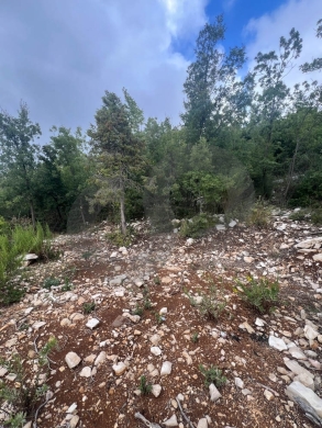 MOUNTAIN SANCTUARY/LAND/ hillside plot/panoramic views/MECHMECH,JBEIL/مشمش/REF#NI141254 — 9