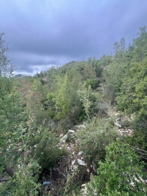 MOUNTAIN SANCTUARY/LAND/ hillside plot/panoramic views/MECHMECH,JBEIL/مشمش/REF#NI141254 — 2