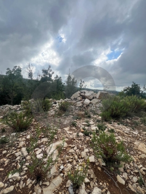 MOUNTAIN SANCTUARY/LAND/ hillside plot/panoramic views/MECHMECH,JBEIL/مشمش/REF#NI141254 — 7