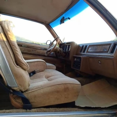 Buick Regal 1979 V8 — 4