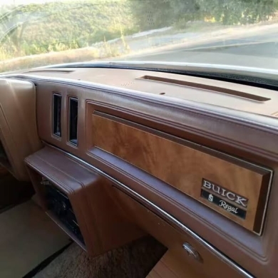 Buick Regal 1979 V8 — 5