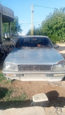 Peugeot 1988