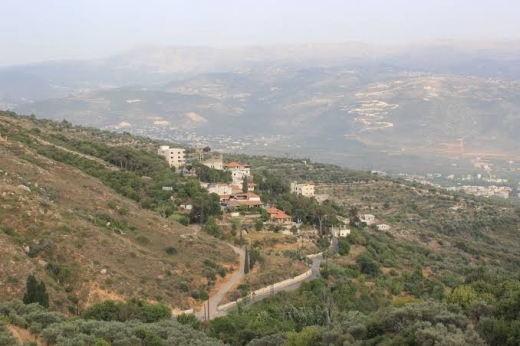 R9-3981 Agricultural Land for Sale in Harf Ardeh Awfar | 12,000 m² with 250 Olive Trees — 3