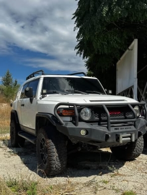 Toyota FJ Cruiser 2010
